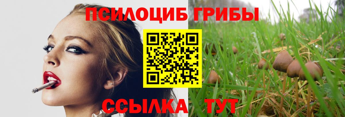 Североуральск  Галлюциногенные грибы мухоморы  Вход с VPN 